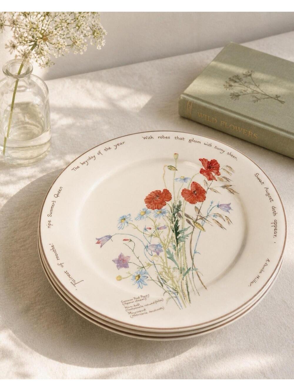Noritake 1970s Country Diary Of An Edwardian Lady Set Of 3 Dinner Plates, 10.5”